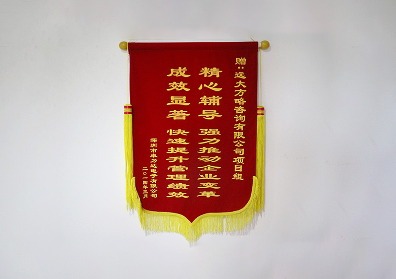 精心輔導(dǎo)，強力推動企業(yè)變革